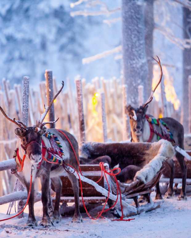 Trail in Canada Where People Ice Skate Through the Woods Is So Magical