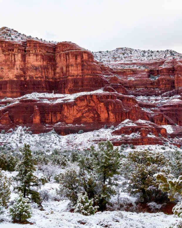 Photographer Captures Beautiful and Rare Snowfall in Scottsdale