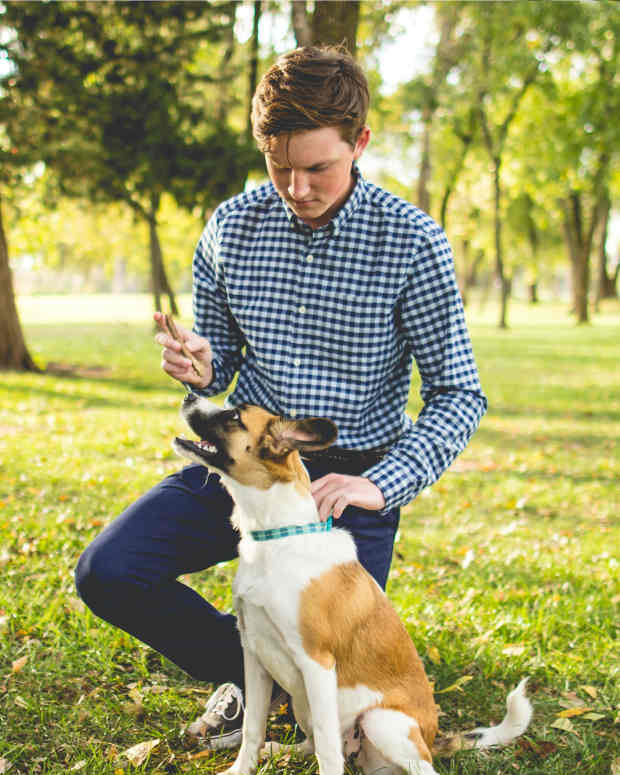 How to Train a Dog to Take Treats Gently PetHelpful