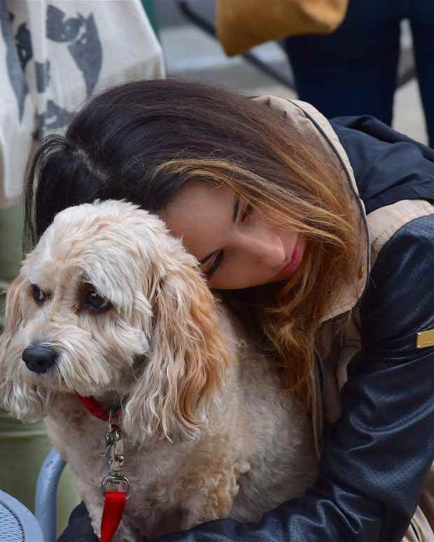 Do Dogs Smile? PetHelpful