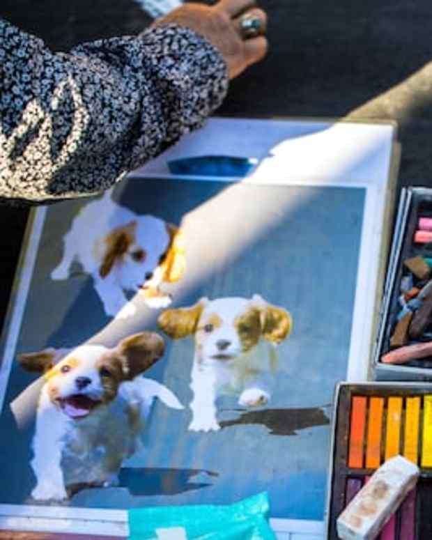 50+ Great Names From German Dogs of All Sizes PetHelpful