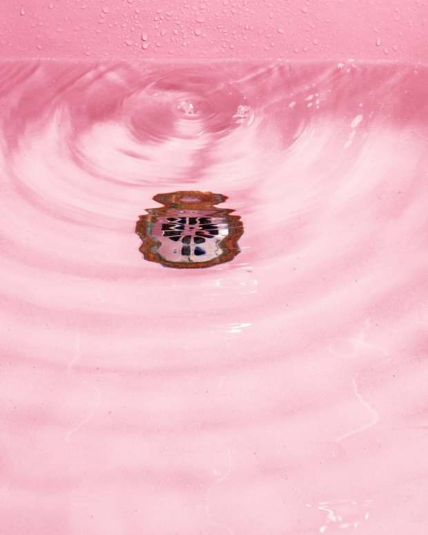 How to Fix a SlowDraining Shower Dengarden