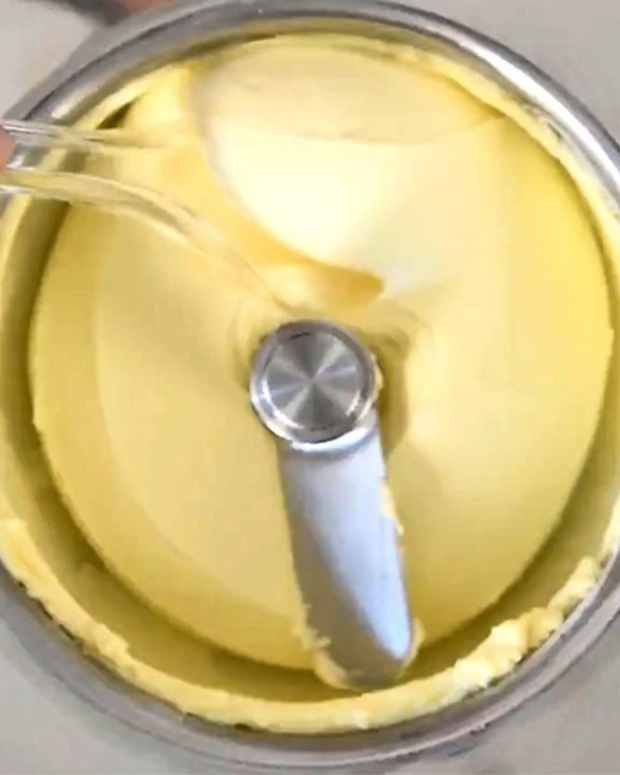 Best Ice Cream Makers With a Builtin Compressor Delishably