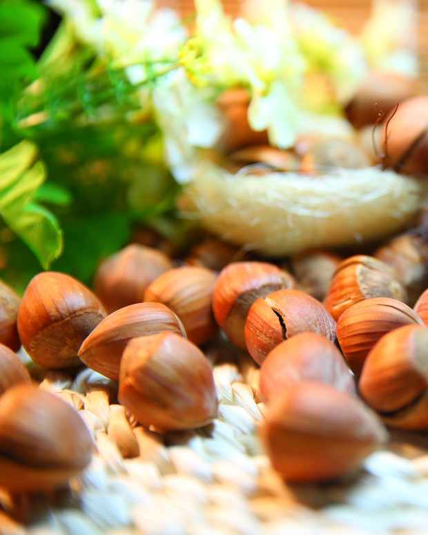 Exploring Pineapple Origins, History and 8 Tasty Recipes Delishably