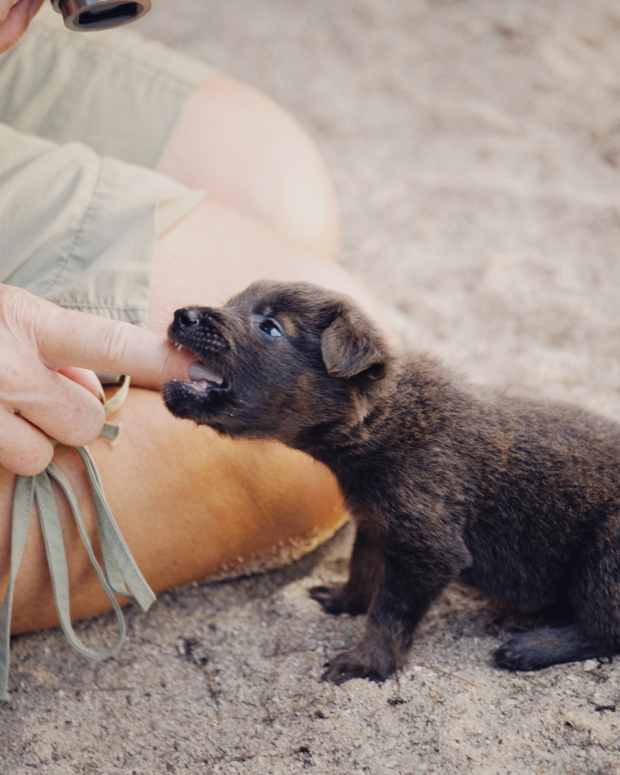 Everything’s (Still) Dust in the Wind HubPages