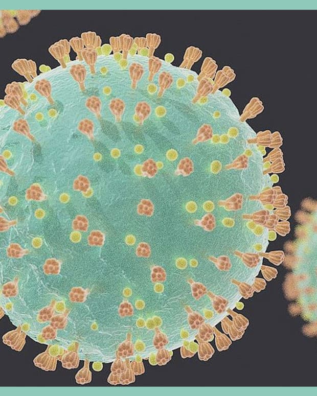 pandemics-unleashed-covid-flu-ebola-plague-marburg-hantavirus-dengue-anthrax-and-other-deadly-diseases