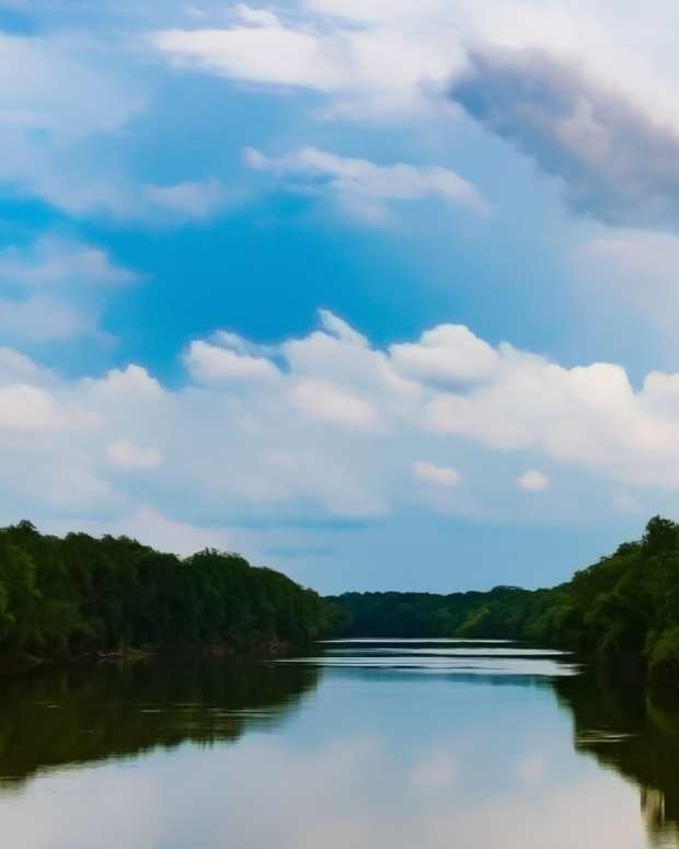 raven-rock-state-park-lillington-nc