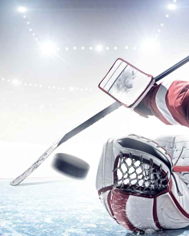 How to a Hockey Fan 10 Tips for Newbies HowTheyPlay