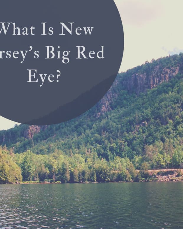 the-mystery-of-big-red-eye-new-jerseys-other-woodland-monster