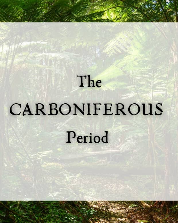 the-carboniferous-period-when-giant-insects-ruled-the-land-and-sky