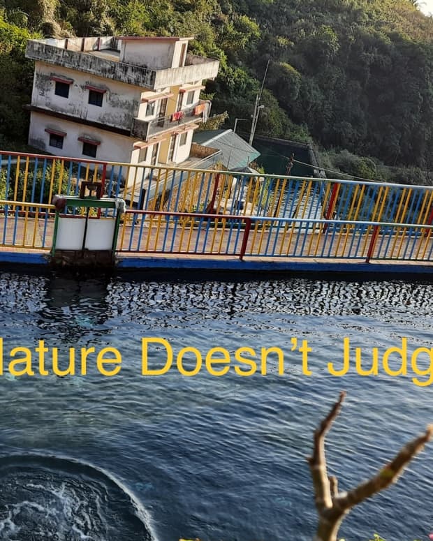 nature-doesnt-judge-poem