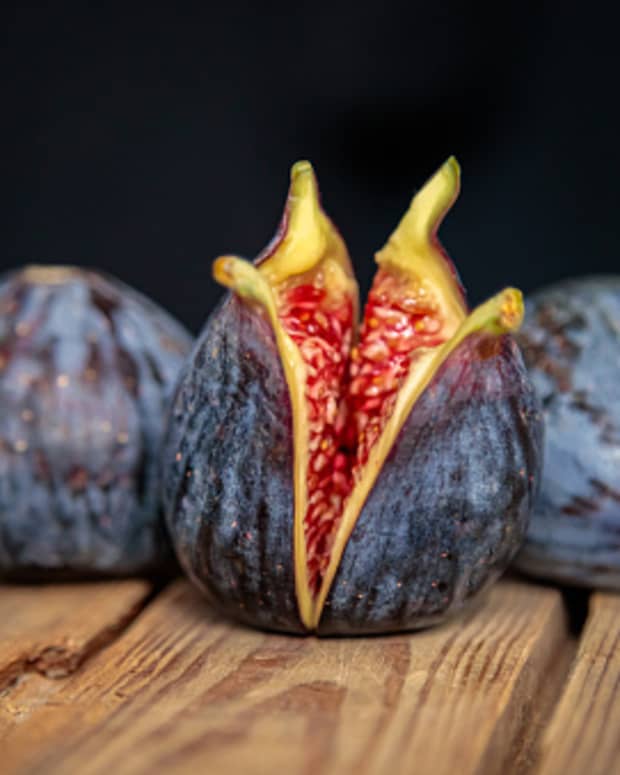 what-are-fresh-dried-figs-nutrition-and-benefits