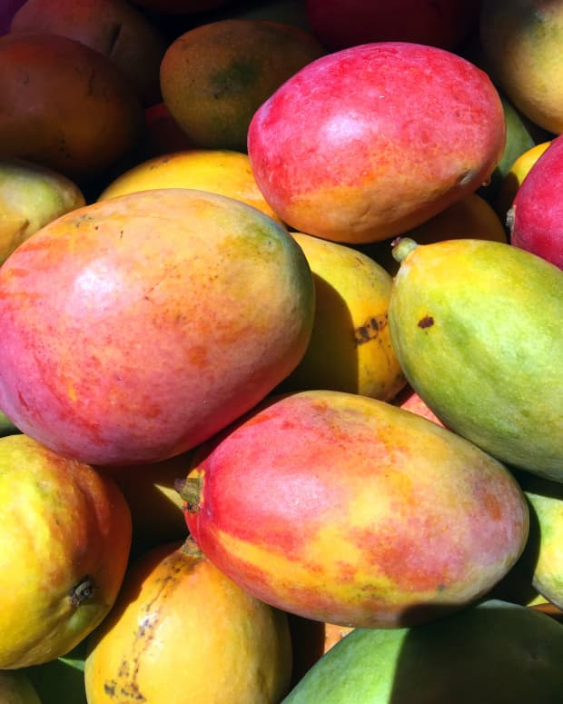 top-6-benefit-of-mango