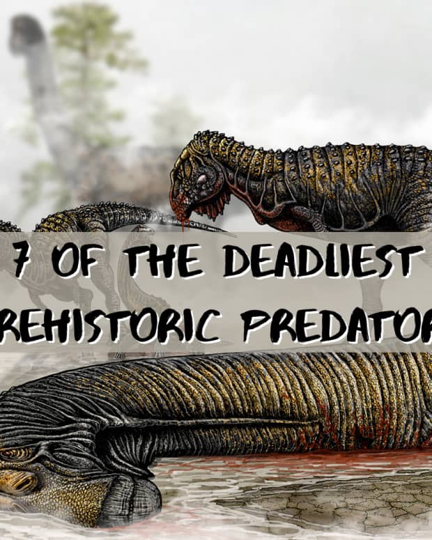 prehistoric-predators