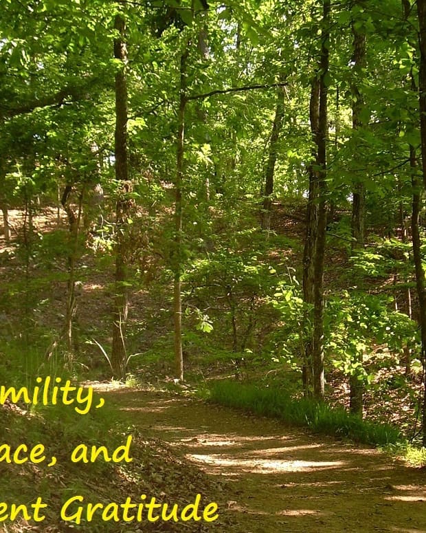 humility-grace-and-silent-gratitude
