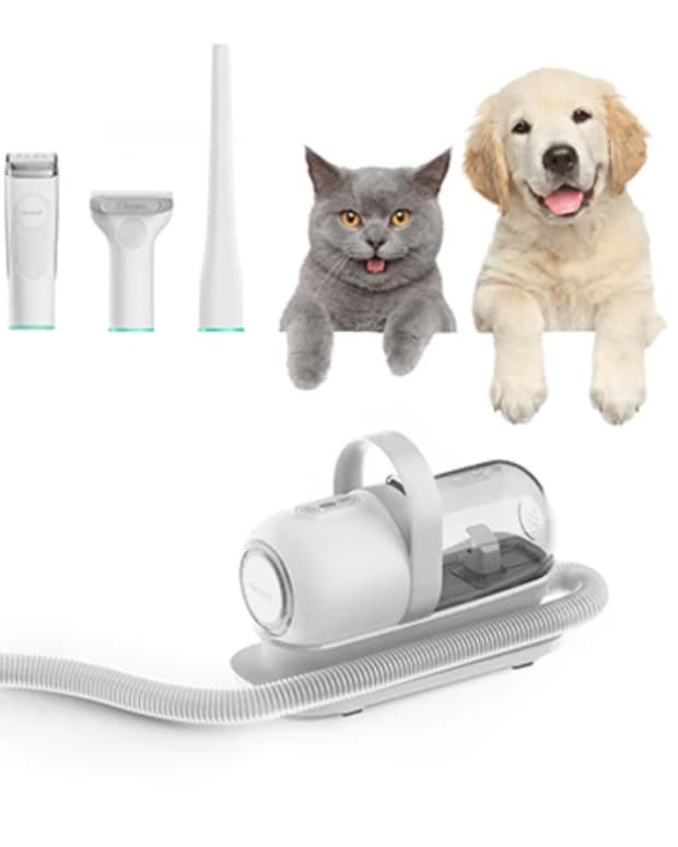 the-neabot-p1-pro-pet-grooming-makes-it-easy-to-groom-your-pet