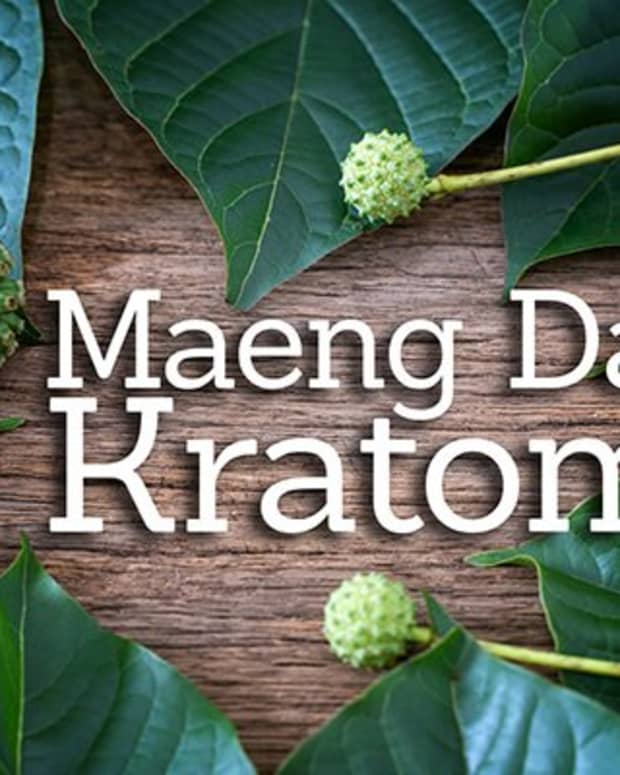 is-maeng-da-kratom-safe-for-pets