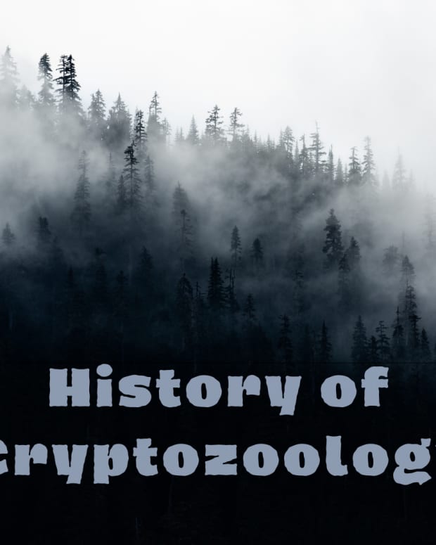 cryptozoology-who-what-where-when-why