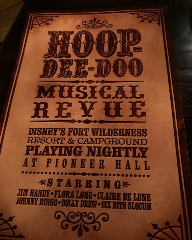 my-experience-at-the-hoop-dee-doo-revue