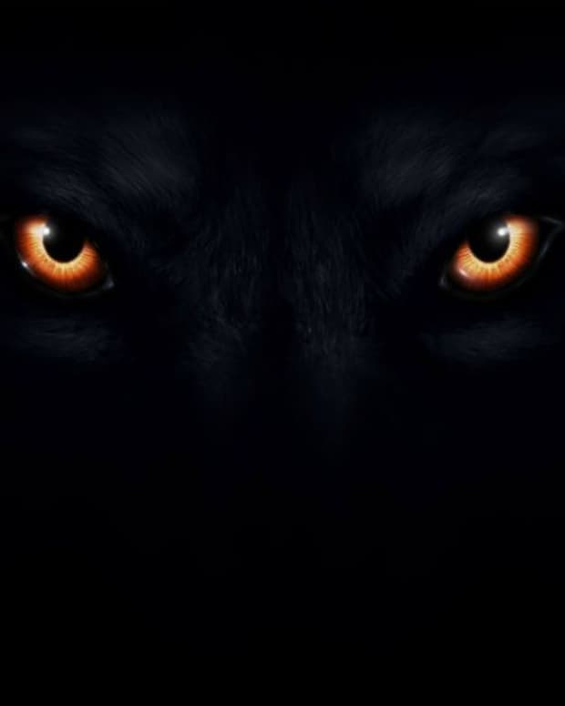 my-werewolf
