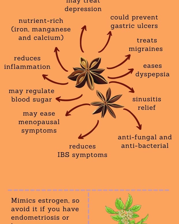 what-is-anise-medicinal-and-culinary-uses