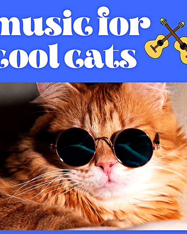 songs-with-cat-in-the-title