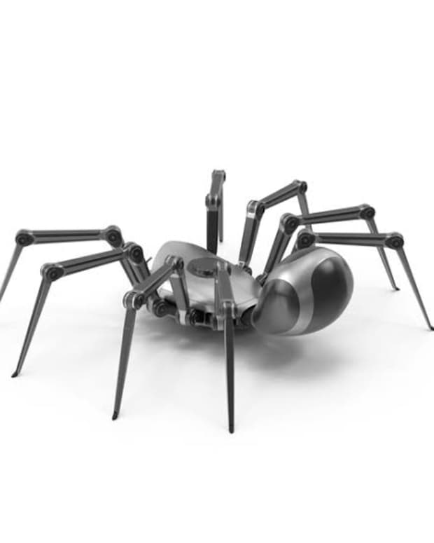 robots-are-being-made-from-dead-spiders-shocking-discovery-of-scientists