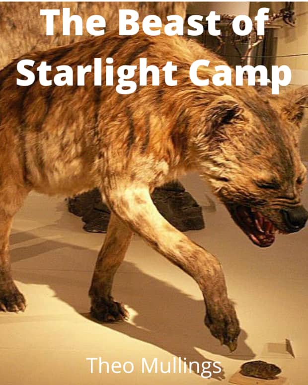 the-beast-of-starlight-camp