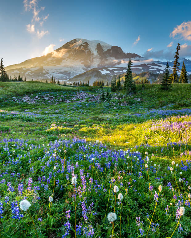 Video of 'Heaven on Earth' Hike Just 2 Hours From Seattle Is Straight ...