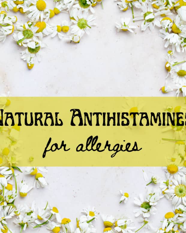 best-herbal-remedies-for-allergies
