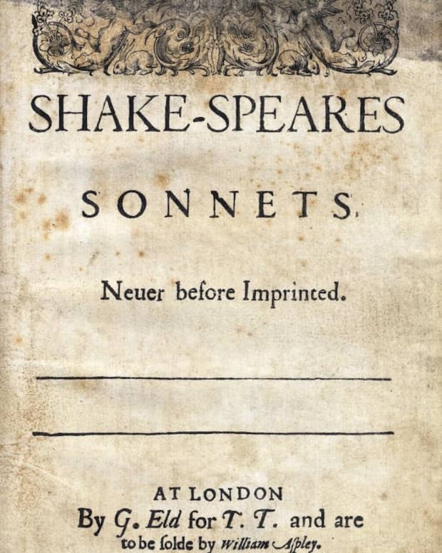 shakespeare-sonnet-3-look-in-thy-glass-and-tell-the-face-thou-viewest