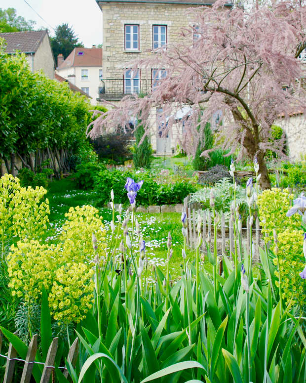A beautiful garden in Auvers sur Oise, France
