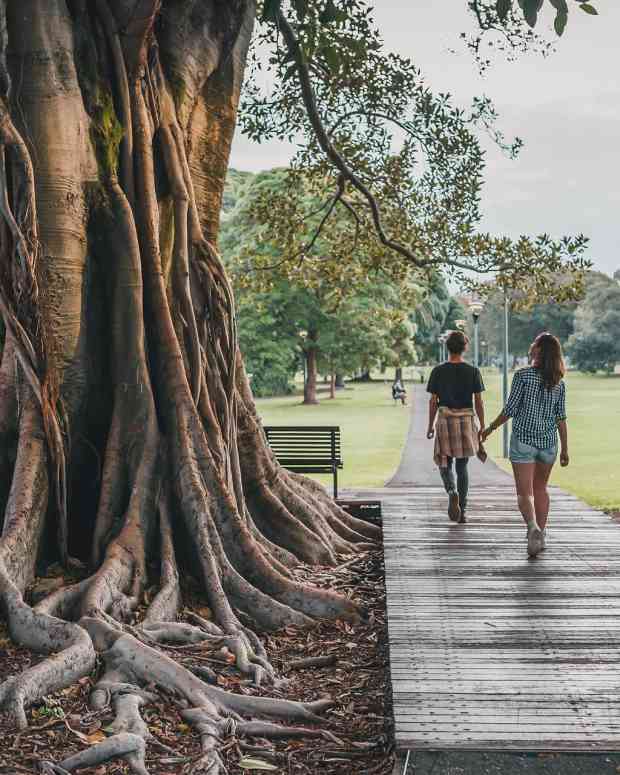 herbal-home-remedies-for-asthma