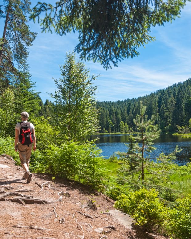 Two hikers walking along a trail in Germany's Black Forest