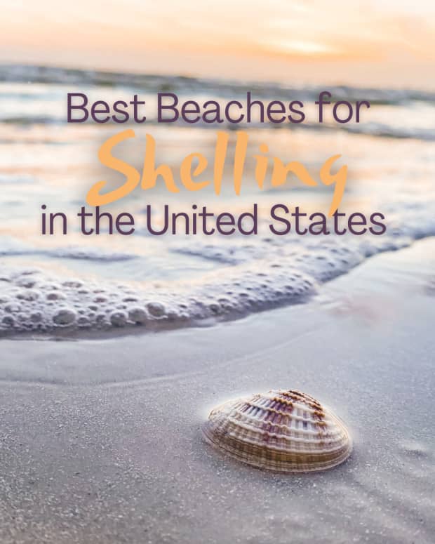 us-beaches-for-shell-collecting