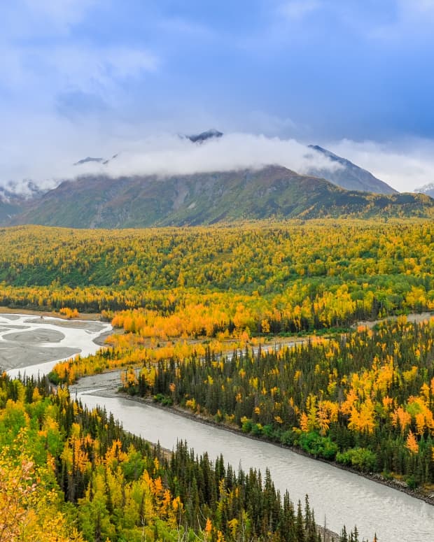 Alaskan fall foliage near Anchorage