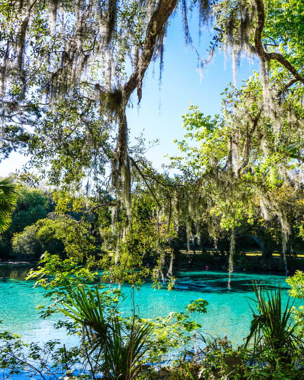 Gorgeous Florida springs with turquoise water
