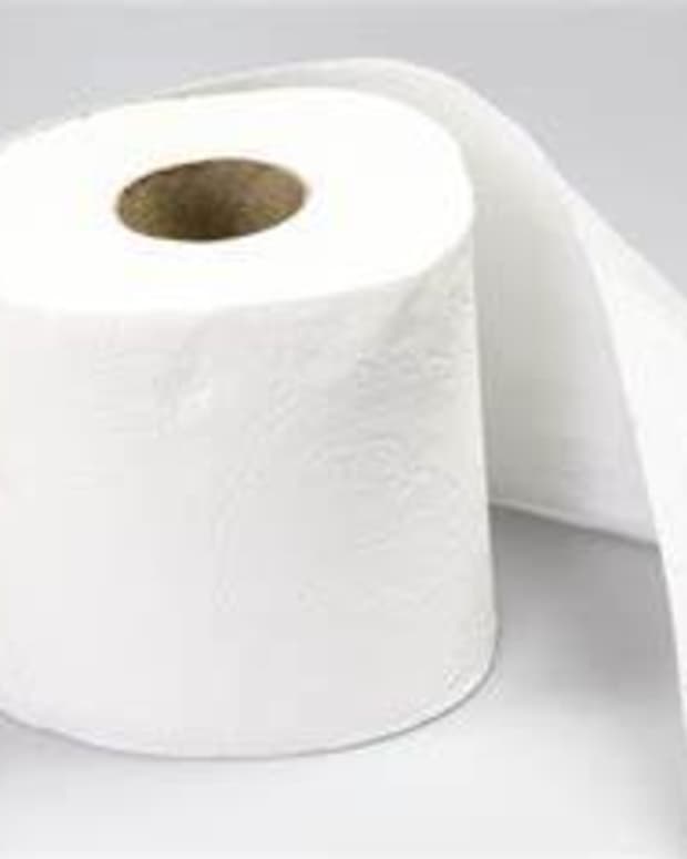 the-invention-of-toilet-paper