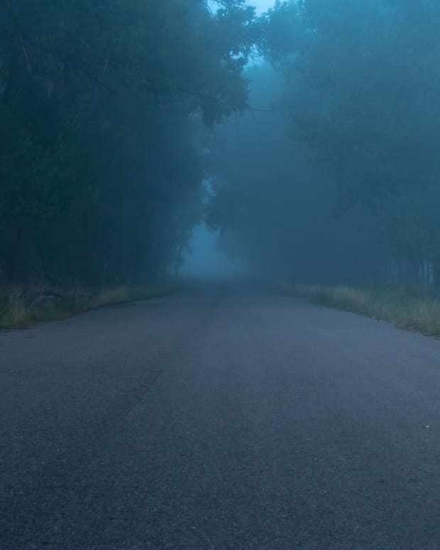 Spooky photo of foggy road in the woods