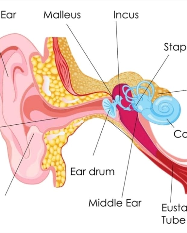 ear-care-dangers-of-using-cotton-swabs-to-clean-out-earwax