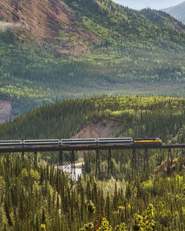 A train tour passing Denali National Park in Alaska