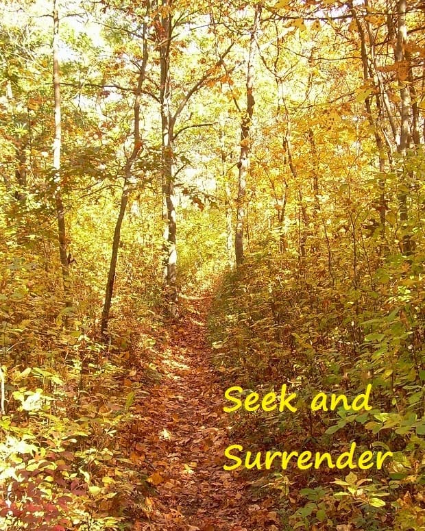 seek-and-surrender