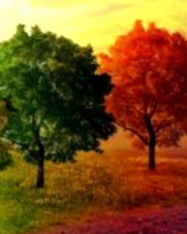 the-seasons-of-life-shape-they-might-tear-apart-while-becoming-a-part-of-our-lives