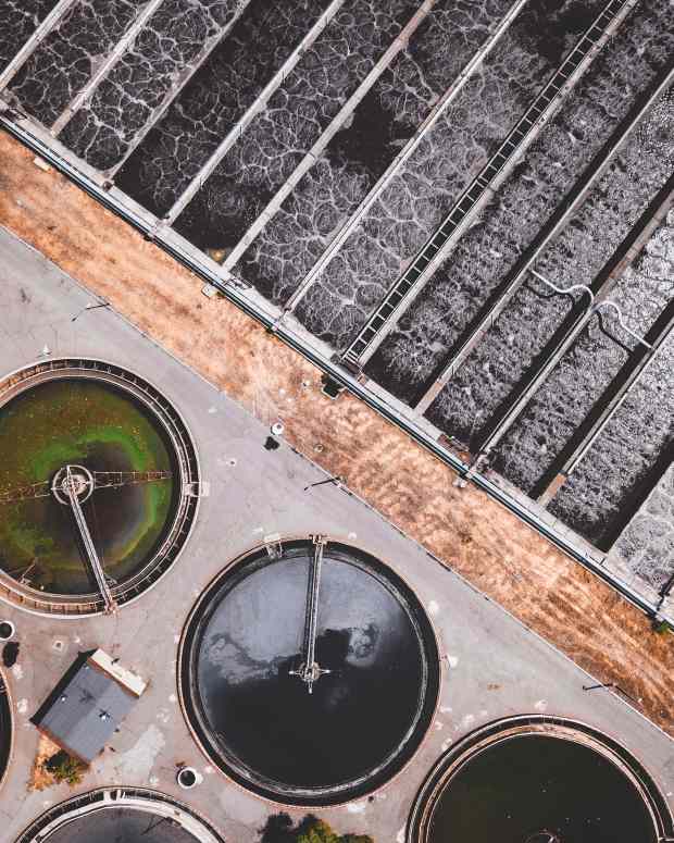 10 Decorative Septic Tank Cover Ideas (Dos and Don'ts) Dengarden