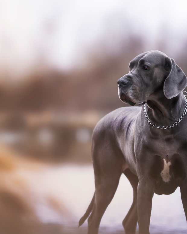 Delta Crew's Incredible Gesture for Woman Who Lost Personal Item Is