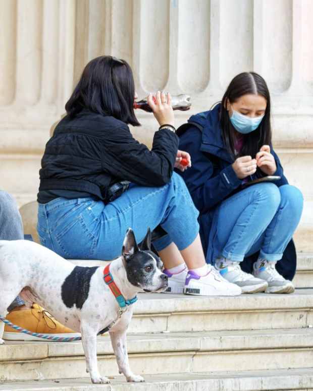 is-it-safe-for-dogs-to-drink-soda