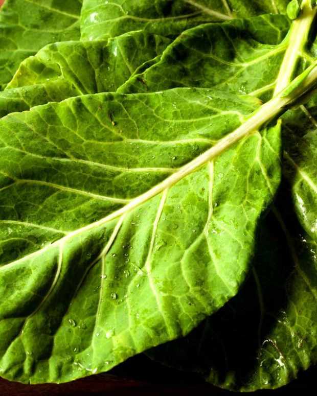 Why Does Broccoli Turn Yellow and Is It Safe to Eat? Delishably