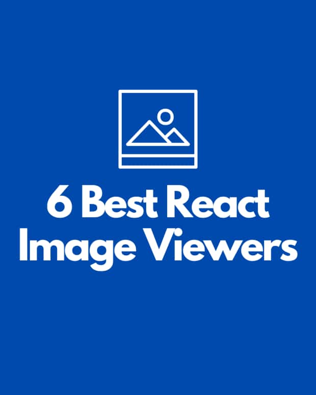 4 Best React Image Zoom Libraries to Check Out The Ultimate List