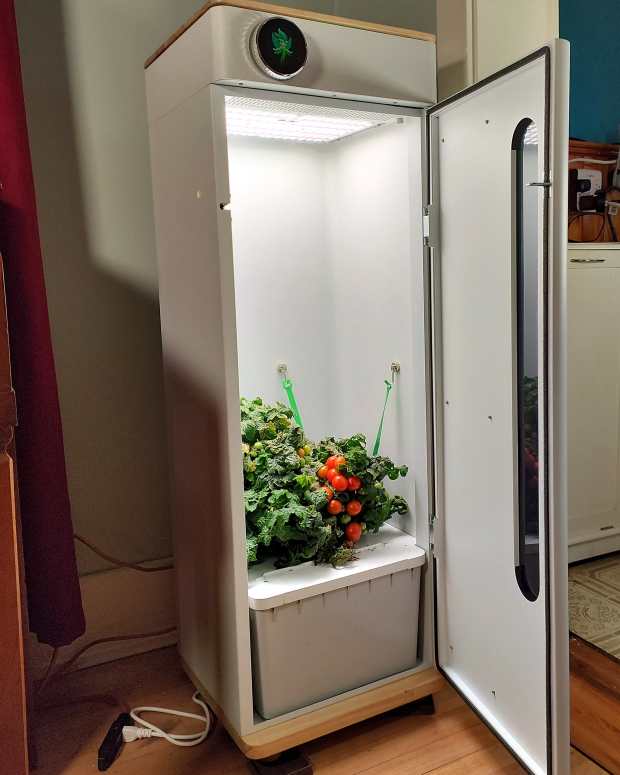 review-of-the-abby-hydroponic-garden