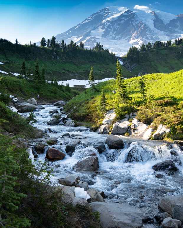 Couple driving along the Pacific Northwest Coastline